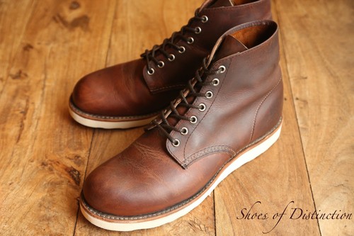 Redwing red wing - wing, brown